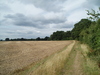 The path heading north from Sopley.