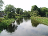 The River Avon at Ibsley Bridge.