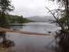The foreshore of Loch Lochy.
