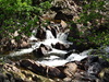 A cascade near the Falls of Falloch.