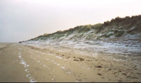 AA25	Sand dunes on the beach near Thornham
