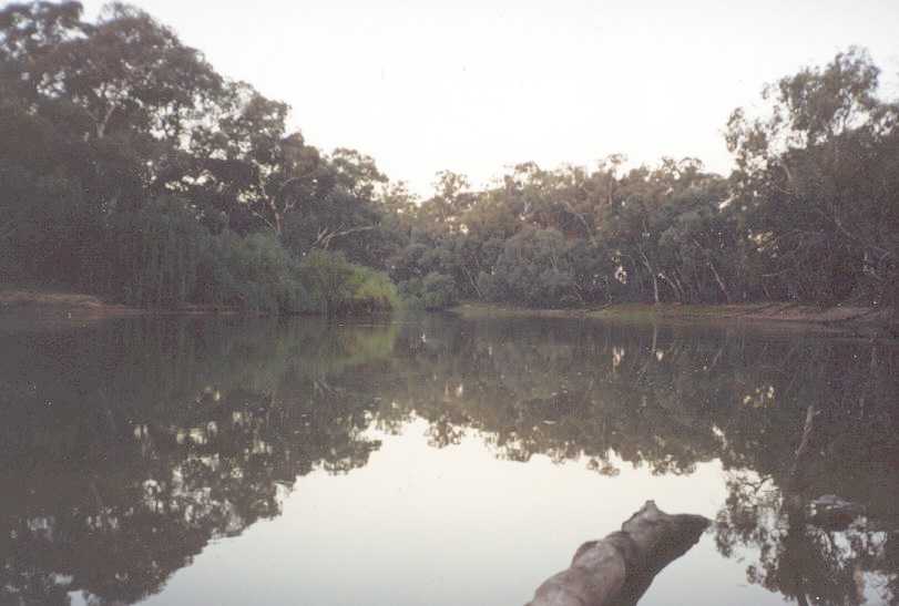 The Murray River at Swan Hill.