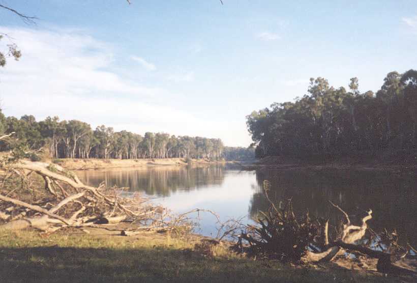 The Murray River at Cobram.