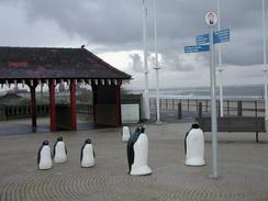 P2002A150004	Some lost penguins in Redcar. 