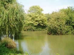 A pond on the way to Dyrham.