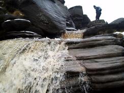 Grinsbrook Clough.