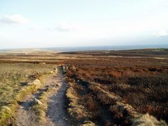 The path leading onto Ilkley Moor.