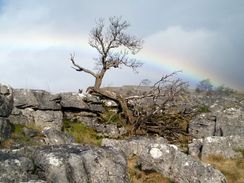 Limestone pavement and a rainbow.