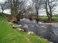 The River Kent on the way to Bowston.