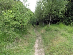 P20056125985	The path on Brockham Hill.