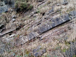 P2005C247068	Rock strata in a cutting.