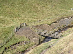 P20069244586	The footbridge over the infant Afon Clywedog.
