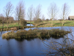 P20071016921	A pond near Messing Lodge.