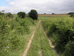 P20077118622	The track leading towards Crick's Farm.