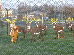 P2007C192026	Festive reindeeroutside RNAD Gosport. 