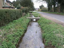 P20083194004	A stream in Brown Candover.