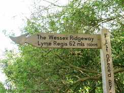P20105040044	62 miles to Lyme Regis.