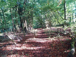 P2010A250076	The path between Middle Winterslow and West Winterslow.