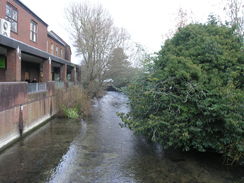 P2010C131095	The River Allen in Wimborne Minster.