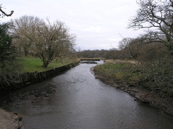 P20111272343	The stream in Shalfleet.