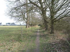 P20113283853	The path leading towards Rendlesham Forest.