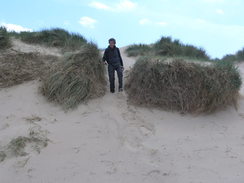 P20115236044	David descending down the dunes.