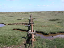 P20115246158	A pipeline leading to the sea at Stiffkey.