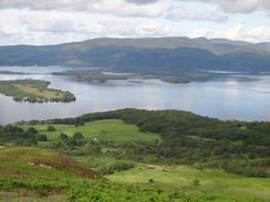 P2011DSC00152	Looking down over the southern end of Loch Lomond.