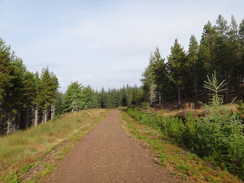 P2011DSC04029	Following a track northwestwards through the woodland towards Achpopuli.