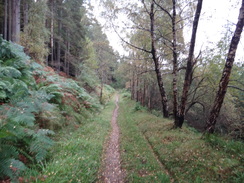 P2011DSC04499	The path southwest through the Ben Aigan Forest.