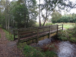 P2011DSC04950	A footbridge over a stream.