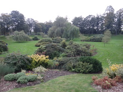 P2011DSC05170	Gardens in the riverside park in Carlisle.