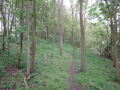 P2012DSC09937	Following the trail west from Stoke-by-Clare.