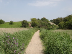 P2012DSC00879	The path leading towards Burgh Castle.