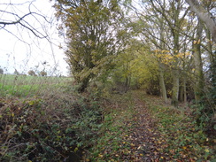 P2012DSC04184	The path heading north from Great Tey.