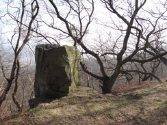 P2013DSC05017	A stone on the edge of Stanton Moor.