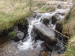 P2013DSC05409	The stream in Roych Clough.
