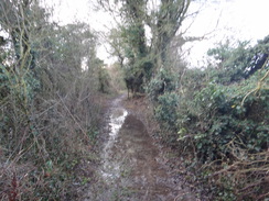 P2018DSC07597	A flooded stretch of path on the way to Lavendon Grange.