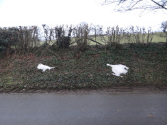 P2018DSC08897	Patches of snow on Newnham Hill.