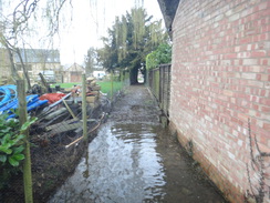 P2018DSC09541	A flooded path in Shotley.