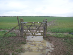 P2018DSC09596	A boggy gate to the east of Gretton.