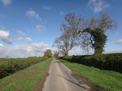 P2018DSC00076	The road between East Farndon and Great Oxendon.