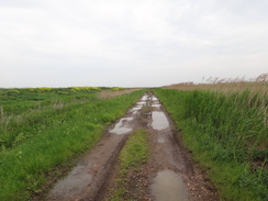 P2018DSC01235	The track heading south from Dog-in-a-Doublet towards Whittlesey.