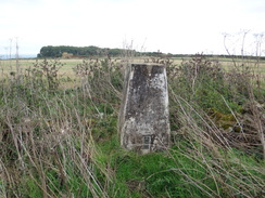 P2018DSC04725	Ebrington Hill trig pillar.
