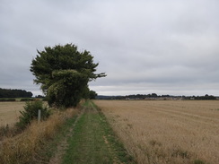 P2018DSC04921	Following the Oxfordshire Way southwestwards towards Stonesfield.
