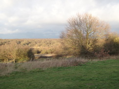 P2019DSC07227	Looking north over epping Forest from Queen Elizabeth's Hunting Lodge.