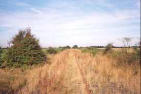 Q25	The disused railway line between Cambridge and St Ives.