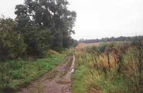 R20	Looking along a section of the Dere Way near Ulston Moor.