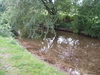 The River Ebble to the west of Odstock.