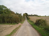 The road leading westwards towards Middle Winterslow.